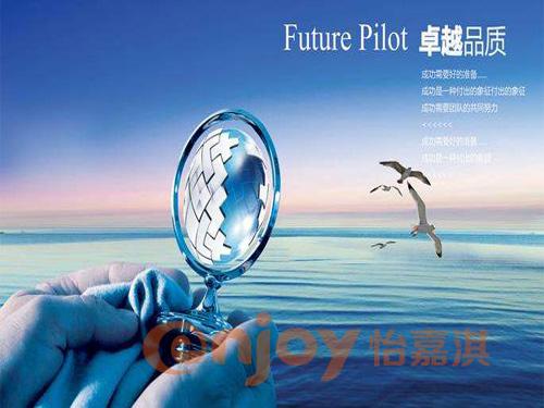 公司优势